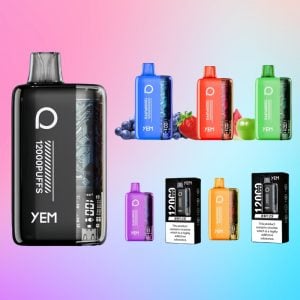 Cheap YEM BM12S 12000 Puffs Rechargeable Disposable Vape with Led Display Screen 1