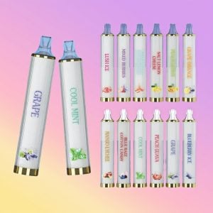 Portable Cheap Randm Vbar 800 Puffs RGB Glowing Cotton Coil Vape Disposable 1