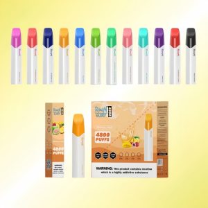 Randm Glory 4800 Puffs Mesh Coil Wholesale Disposable Vape Bar 1