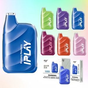 New Wholesale IPLAY X BOX 4000 Puffs Type C Electronic Smoking Disposable Vape 1