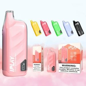 Portable IPLAY X BOX PRO 10000 Puffs Dual Mesh Coil Vape Disposable 1