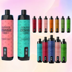 Portable Vapme Crown Bar Pro Max 18000 Puffs MTL Wholesale Disposable Vape Bar 1