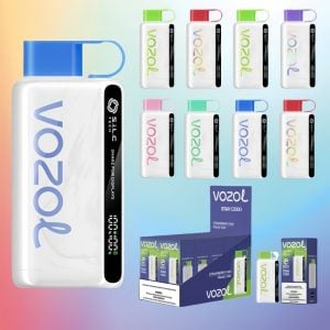 VOZOL Star 12000 12K Puffs Type C Charging Low Nicotine Disposable Vapes 1