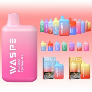 Waspe 5000 Puffs Portable E Cigarette Nic Salt Disposable Vapes 1