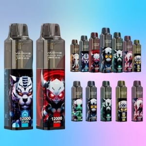 Wholesale Vapme King Pro 12000 12K Puffs Vape Pen Disposable 1