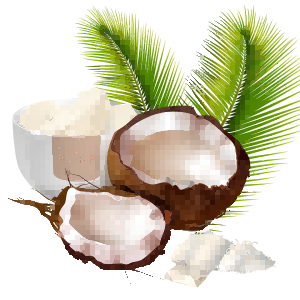 coconut flavored vape