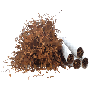 tobacco flavored vape