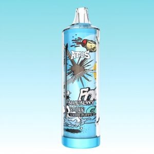 ATVS Blueberry Ice Flavor Type C Charging Disposable Vape Pen 1