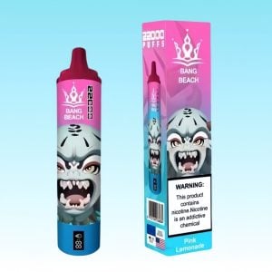 Bang Beach Pink Lemonade Flavored Disposable Vape with Airflow Control 1