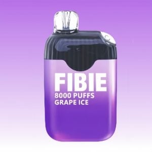 Best FIBIE Grape Ice Flavored Rechargeable Disposable Nicotine Vape 1
