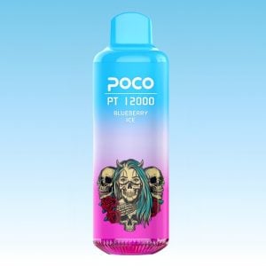 Best Portable POCO Blueberry Ice Flavored Disposable Vape Bar 1