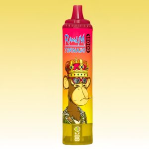 Best Portable Randm Non Nicotine Disposable Vape Peach Ice Flavor 1