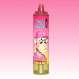 Best Randm Lush Ice Flavored Type C Port Disposable Vape Bar 1