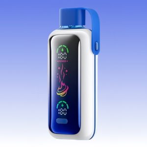 Bulk Buy VOZOL Blue Razz Ice Flavored Rechargeable Disposable Vape 1
