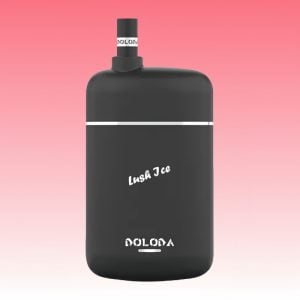 Doloda Lush Ice Flavored Rechargeable Disposable Nicotine Vape 2