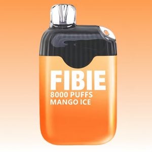 FIBIE Mango Ice Flavored Type C Charging Disposable Vape 1