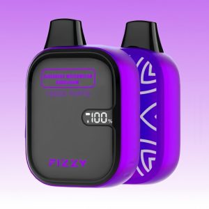 Fizzy Blueberry Watermelon Bubblegum Flavored Disposable Vape 1