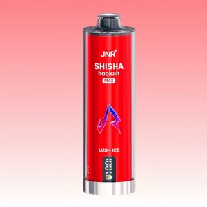 JNR Lush Ice Flavored 2% Nic Disposable Vape Bar Bulk Buy 1