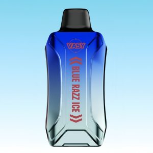 New VASY Blue Razz Ice Flavored Dual Mesh Coil Disposable Vape 1
