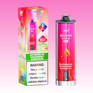 Portable JNR Watermelon Strawberry Bubblegum Flavored Bulk Buy Disposable Vape 1