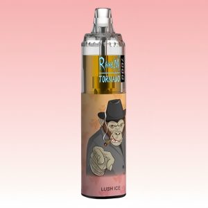 Portable Randm Lush Ice Flavored Disposable Vape Bar for Beginners 1