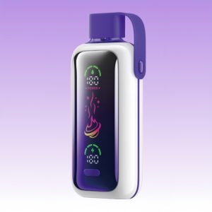 VOZOL Grape Ice Flavored Non Nicotine MTL Disposable Vape 1