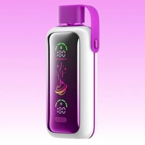 VOZOL Juicy Peach Ice Flavored Full Screen Disposable Vape 1