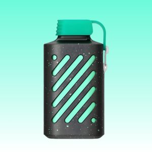 VOZOL Watermelon Bubble Gum Flavored Portable Disposable Vapes 1