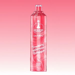 Vapen Strawberry Watermelon Bubblegum Flavored DTL Disposable Vape Pen without Nic 1