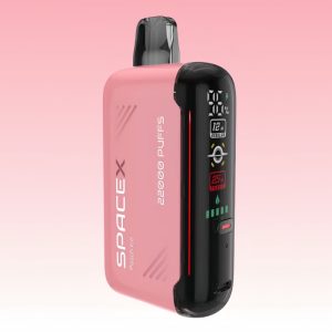 Wholesale Vapme Peach Ice Flavored Rechargeable Disposable Vape 1